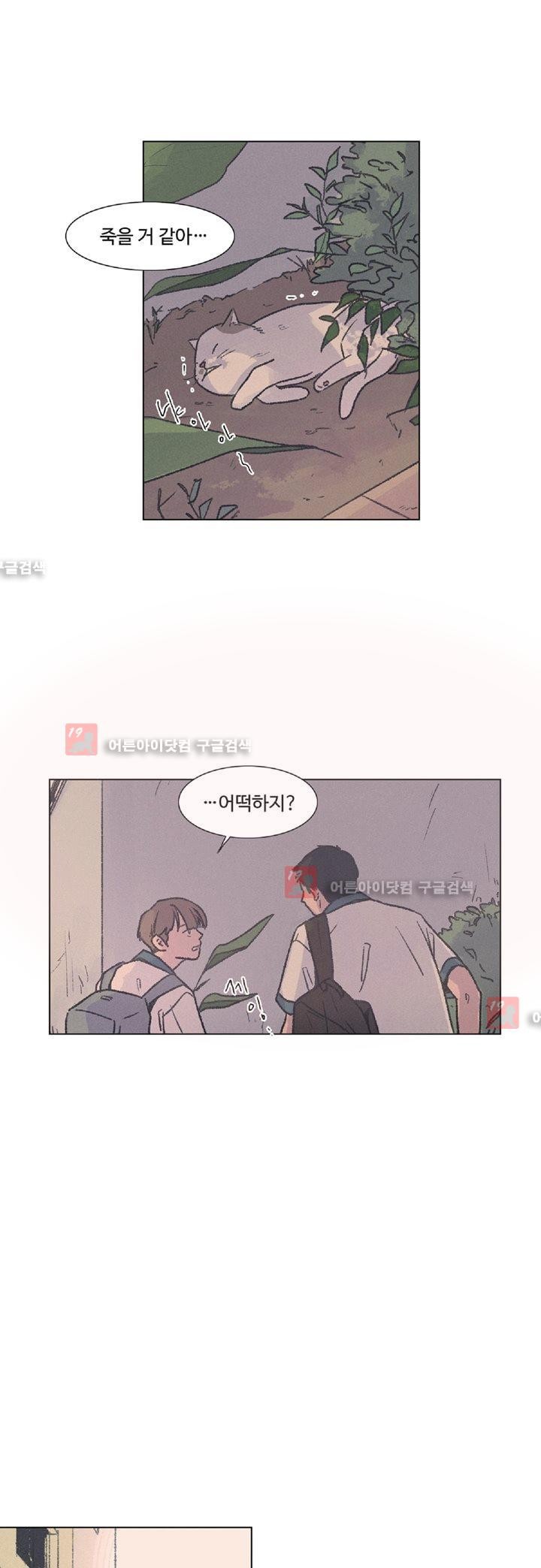 새벽의 아이들 14화