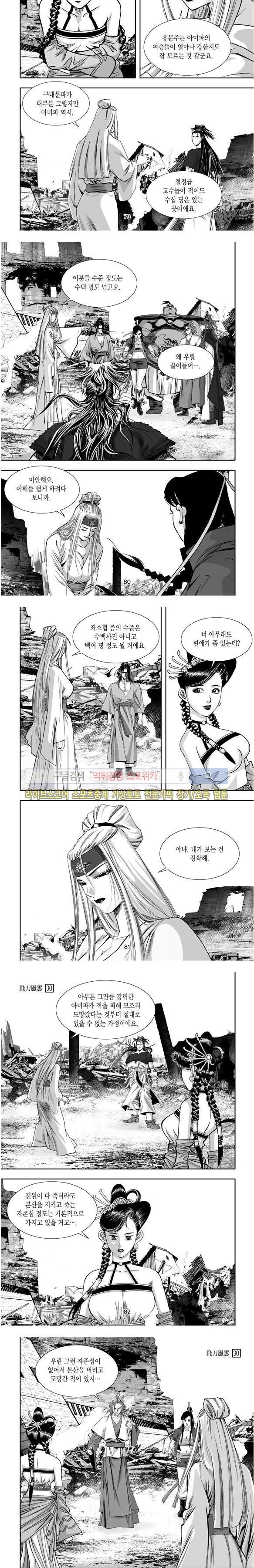 비도풍운 30화