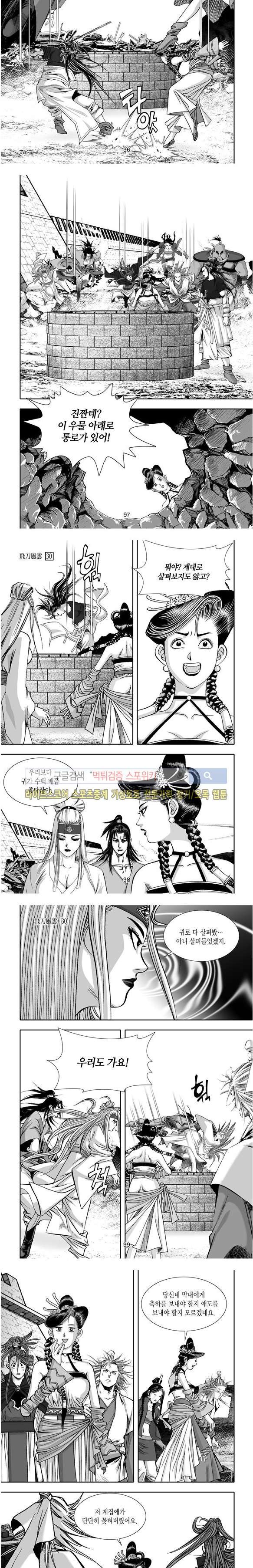 비도풍운 30화