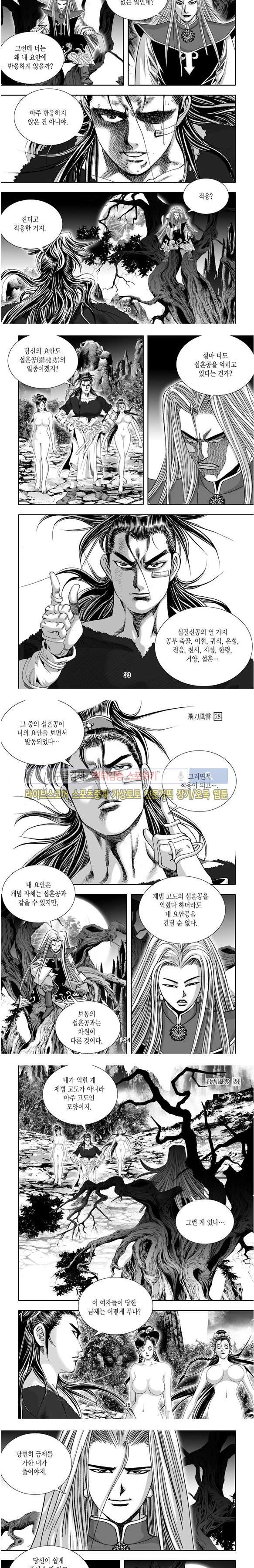 비도풍운 28화