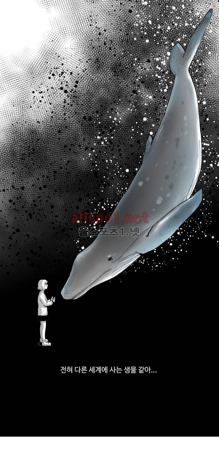 고래  1화
