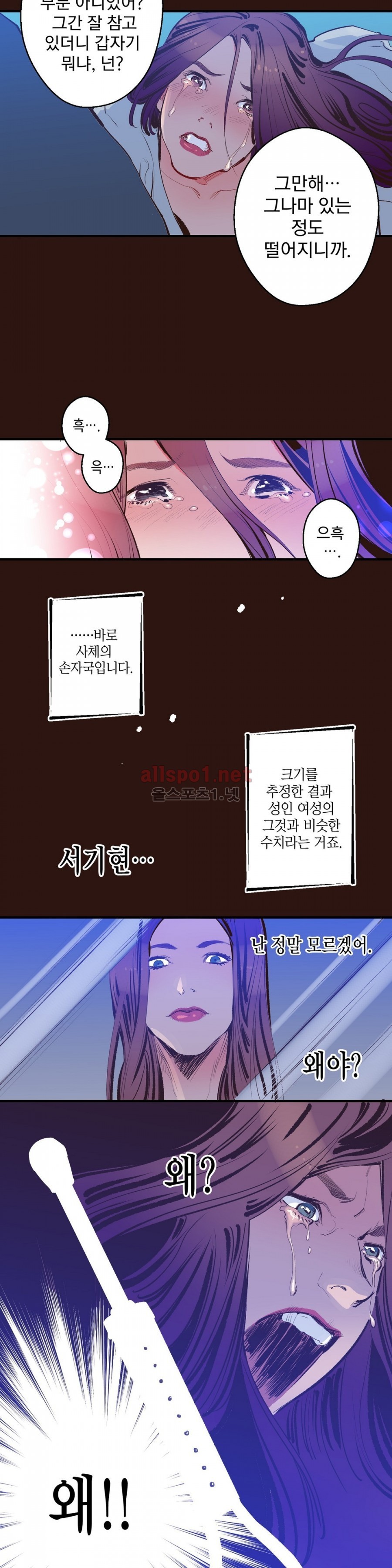 가면의 정사 11화 style=