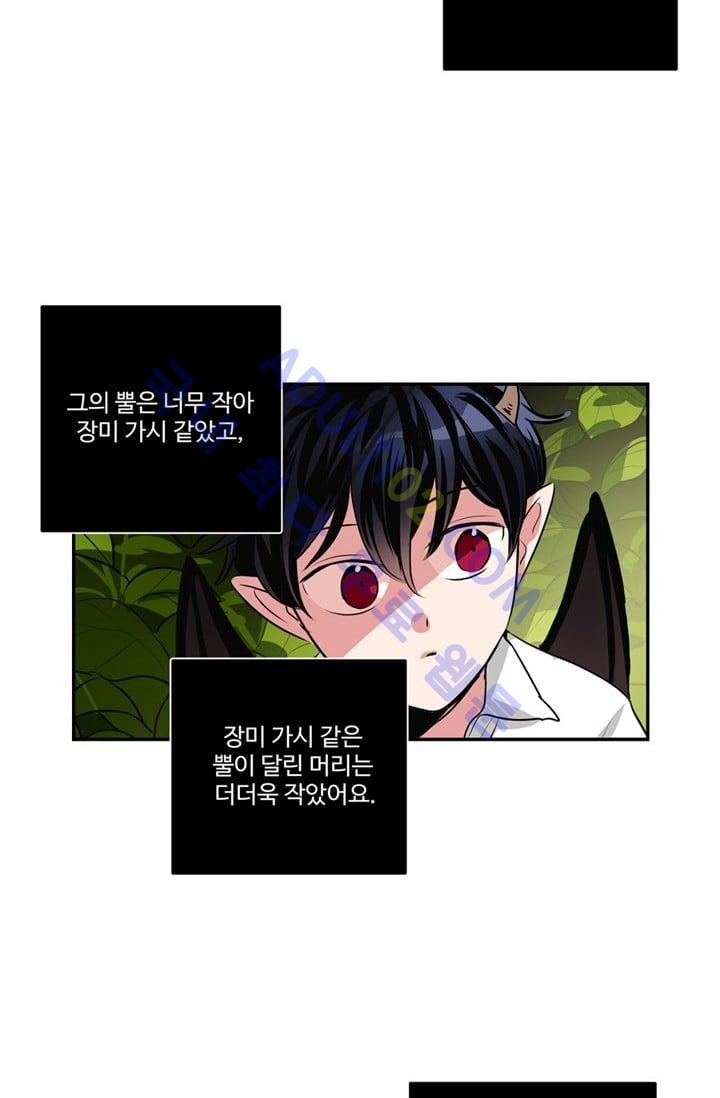 대마왕입니다, 설거지 해드릴까요?  41화