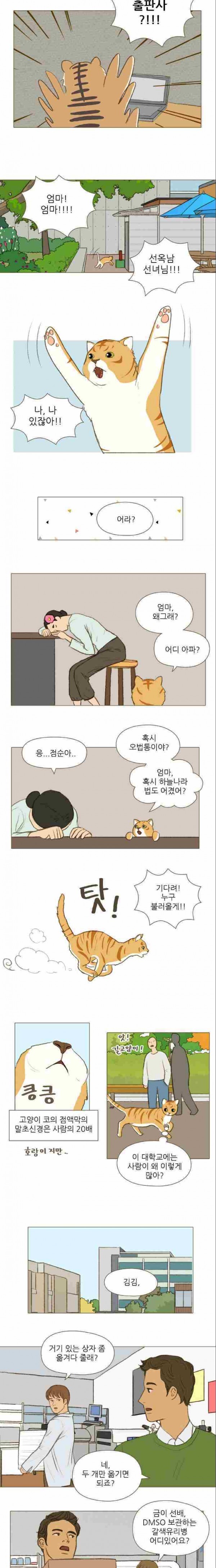계룡선녀전 19화