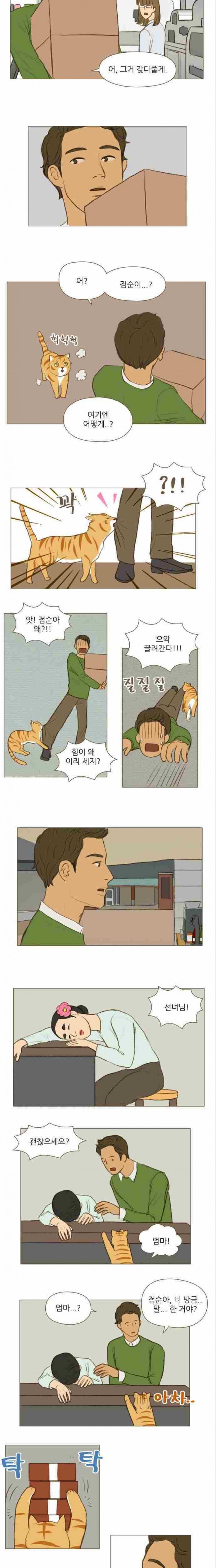계룡선녀전 19화