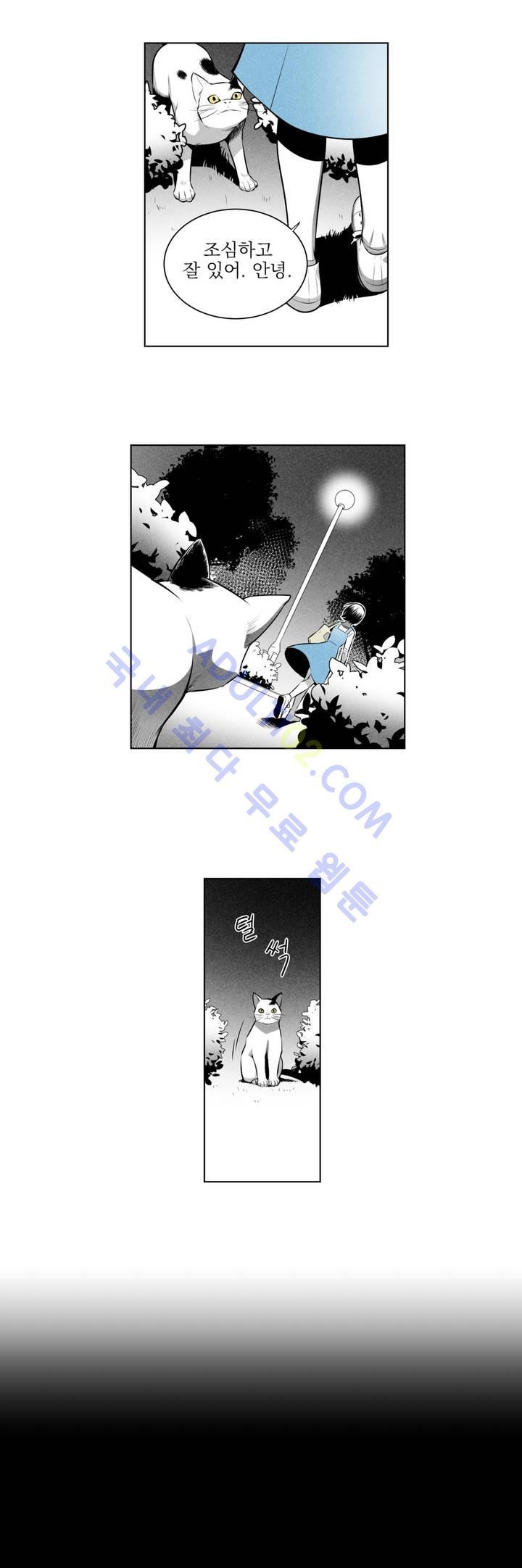 마법전사 VS. 마법전사 12화