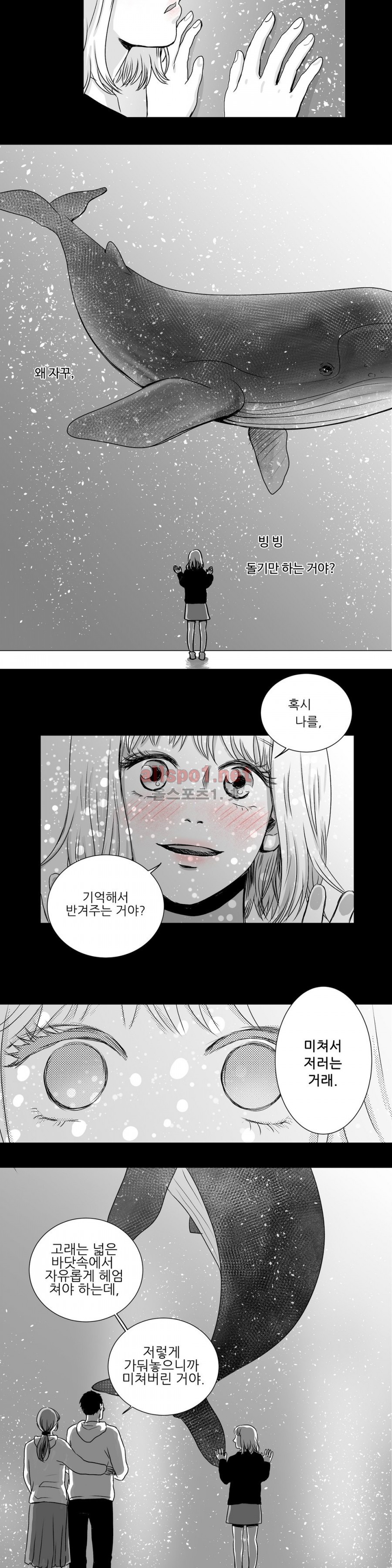 고래  6화