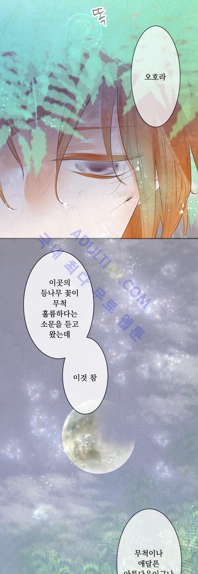 호접몽로 142화